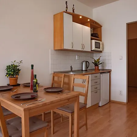 Downtown Apartments Kozatska * Prague