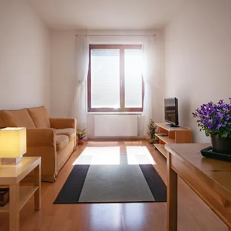 Apartment Downtown Apartments Kozatska