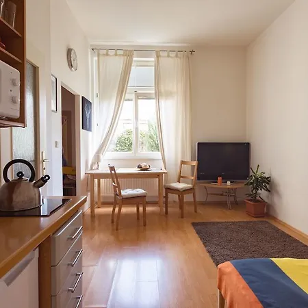 Apartment Downtown Apartments Kozatska