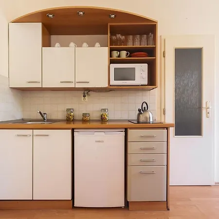 Apartment Downtown Apartments Kozatska Prague