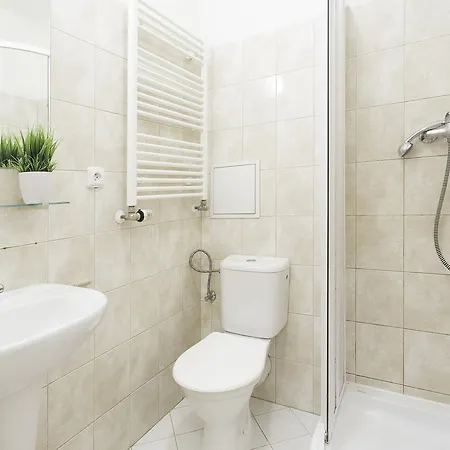 Apartment Downtown Apartments Kozatska