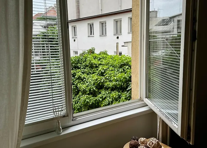 Downtown Kozatska Daire *