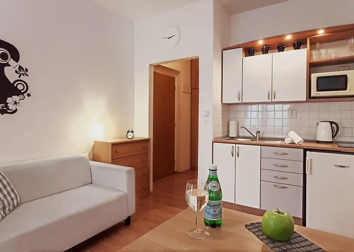 Downtown Kozatska Daire *